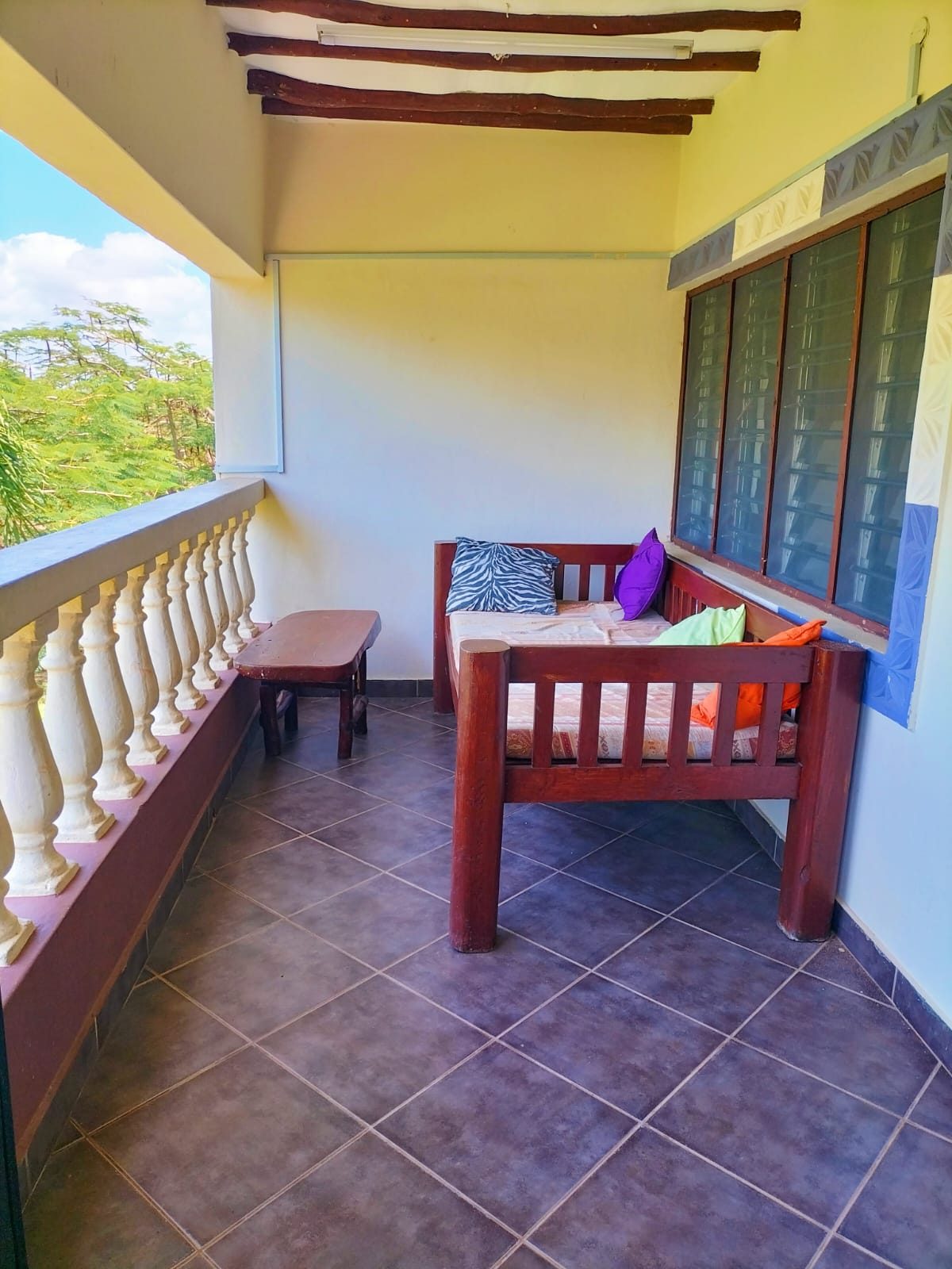 Tausi photo 15