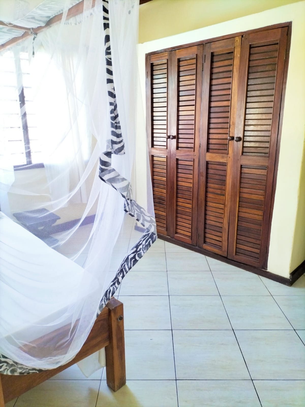Tausi photo 7